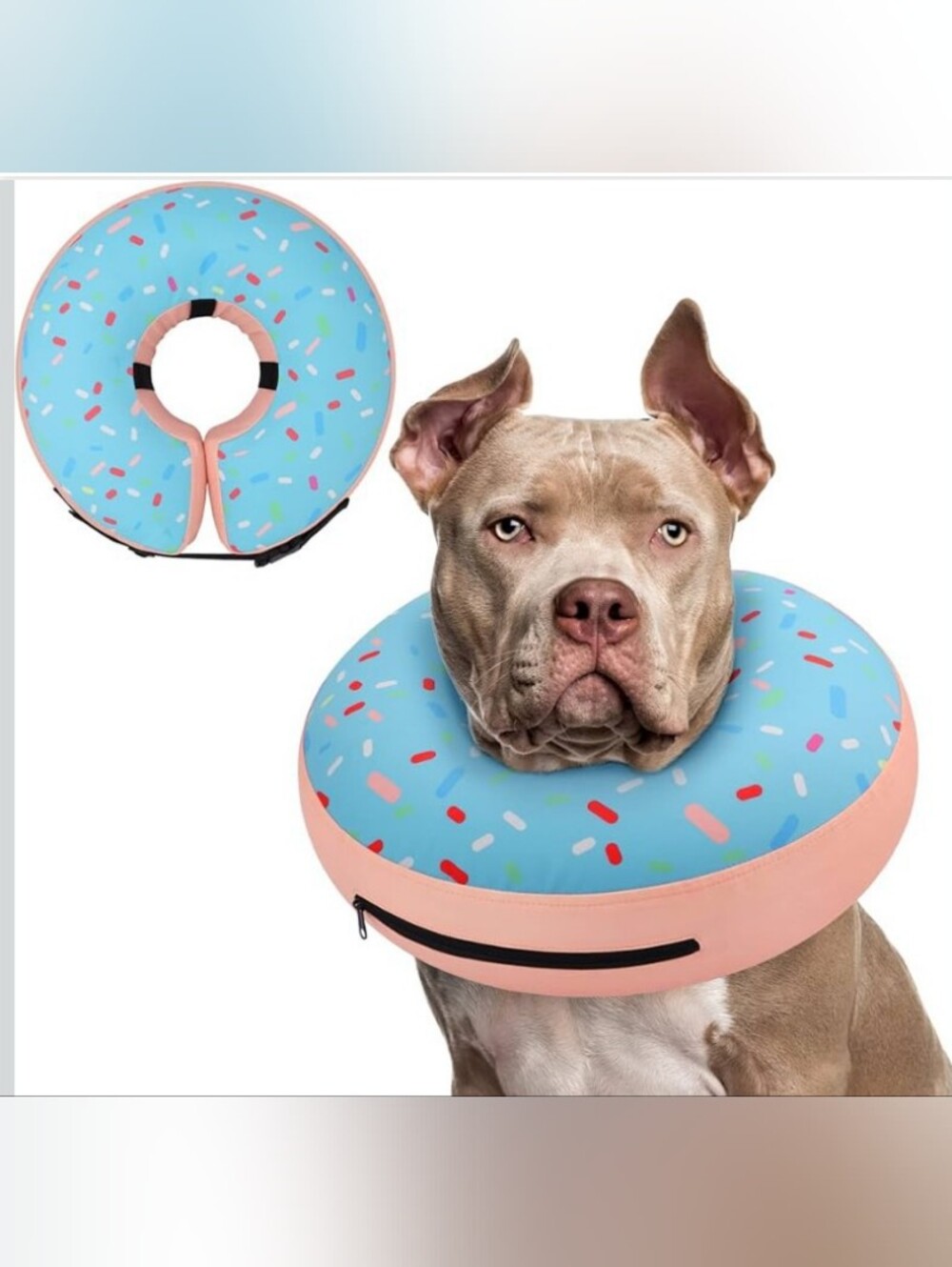 Inflatable Dog 🐶 Cone Collar Donut Size Small